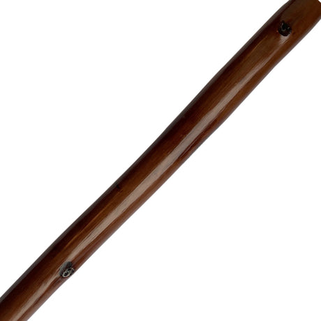 Cane, Walking Stick in Reddish-Brown Chestnut Wood